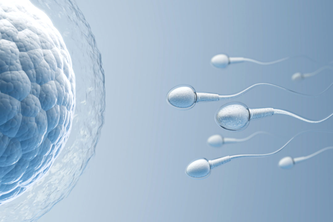 IVF Pregnancy Weeks Calculator How To Track Your Pregnancy